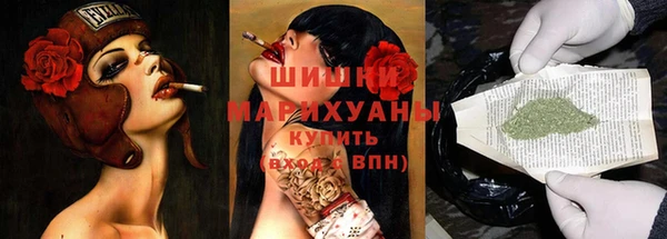 индика Дмитровск