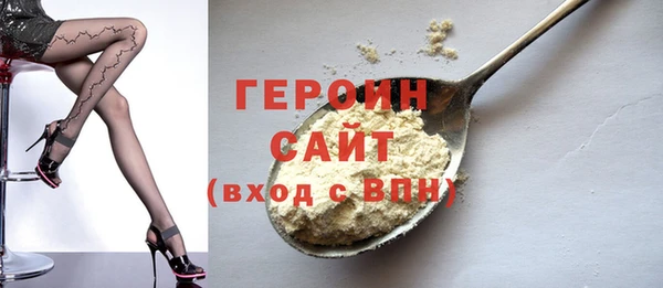 индика Дмитровск