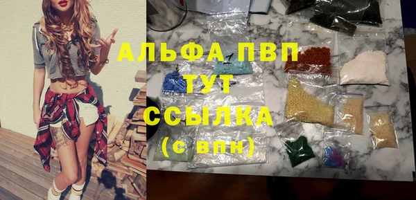 индика Дмитровск