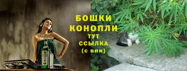 индика Дмитровск