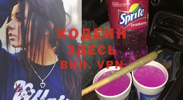 индика Дмитровск