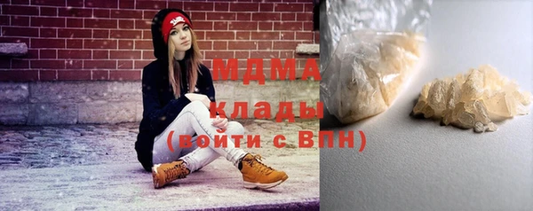 индика Дмитровск